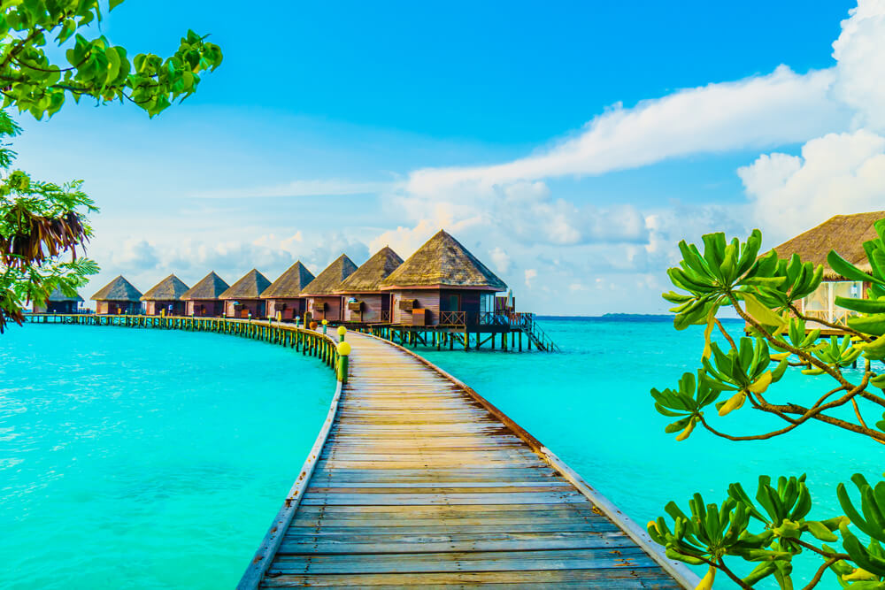 Noble Edge Travel